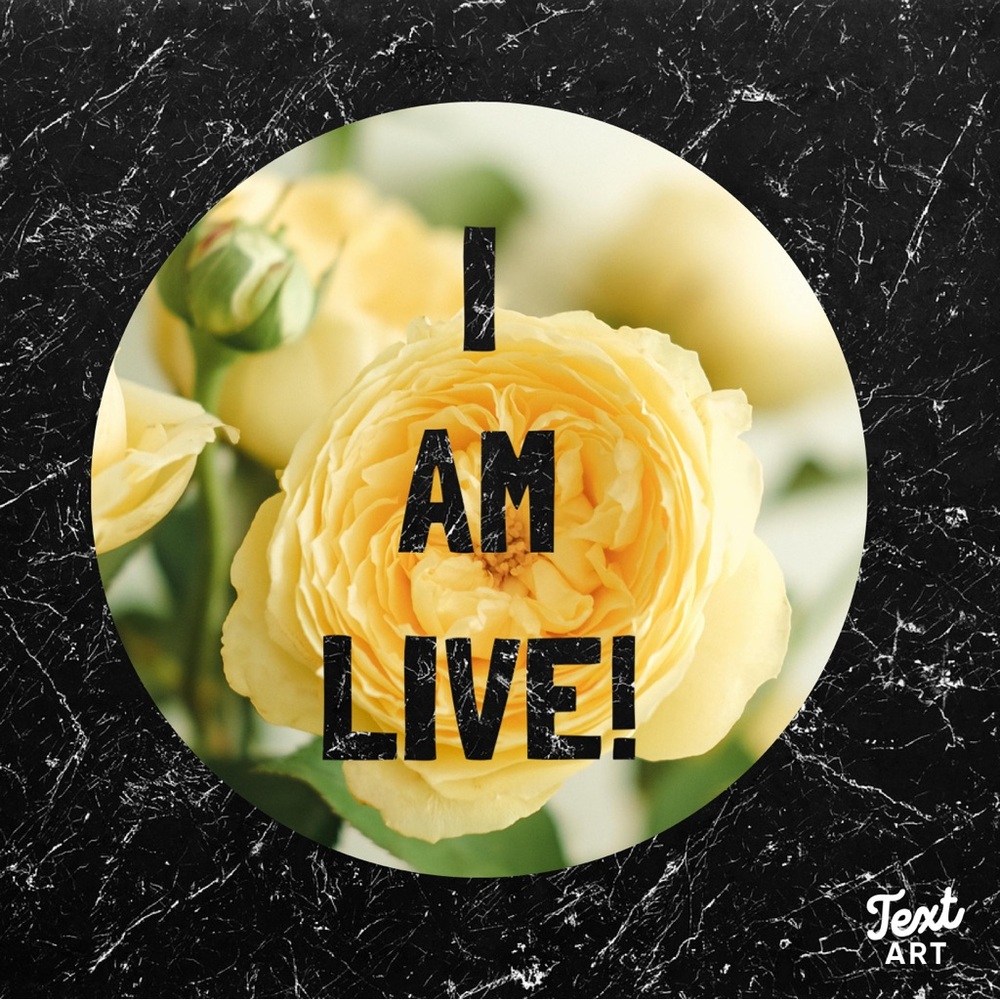 I am live!